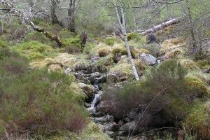 Hochzeitsreise Schottland, 12. Tag