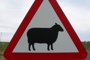 Hochzeitsreise Schottland, 19. Tag