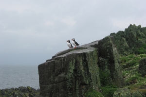 Hochzeitsreise Schottland, 29. Tag