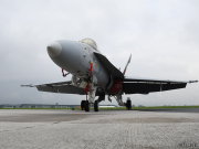 F/A 18, Airpower, Zeltweg (A), 07.09.2019