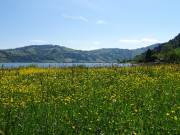 Unterägeri, Ägerisee