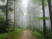 Auffahrt Unterägeri