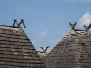 Pfahlbaumuseum Unteruhldingen, 14.07.2015