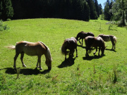 Ferien Schluchsee (D), 10.07.2016