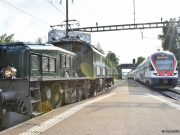 "Krokodil" Ce 6/8 III und RABe 511, Kloten (CH), 01.09.2019