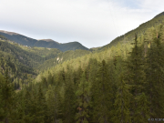 Ausflug mit dem KdE ZV SVSE nach Davos, 12.10.2019