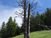 Glaubenbielenpass, Sörenberg (CH), 26.06.2021