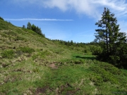 Nünalp, Sörenberg (CH), 26.06.2021