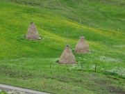Sattelpass, Flühli LU (CH), 26.06.2021