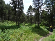 Chessiloch, Flühli LU (CH), 26.06.2021