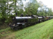 Eb 3/5 5819 und B 3/4 1367 am "Schipkapass", Otelfingen, 12.09.2021